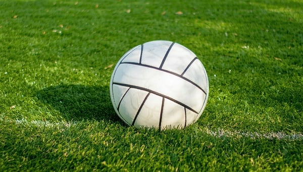 a generic image of a volleyball in the grass-1