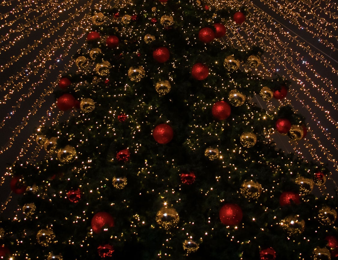 RiverWalk Giving Tree