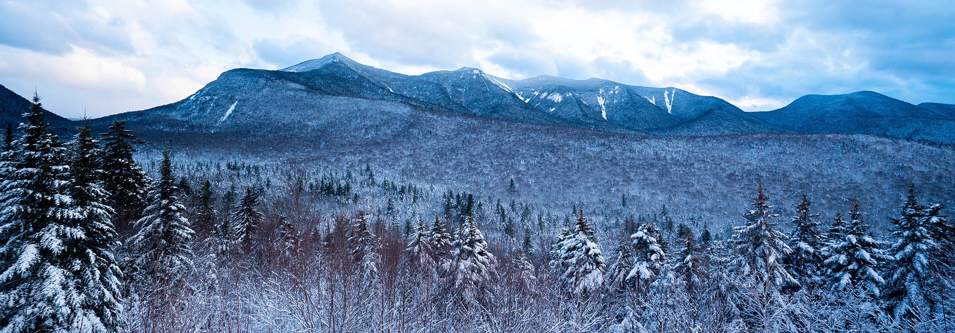 pollardbrook_winter