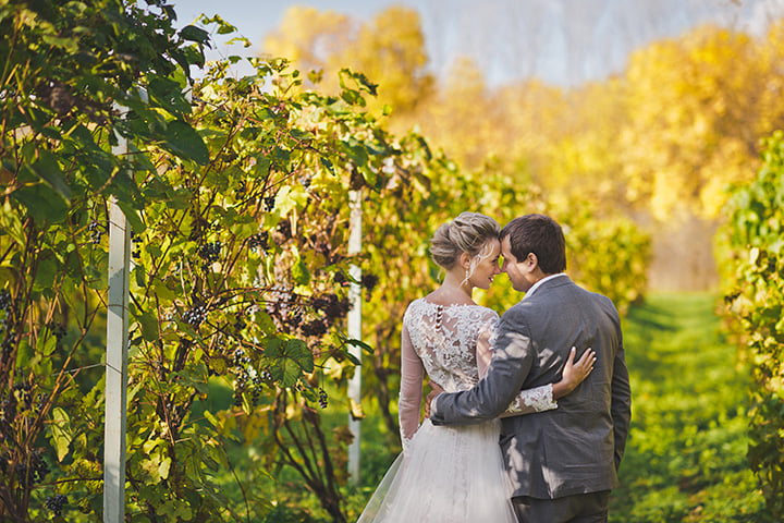 vineyard-wedding1